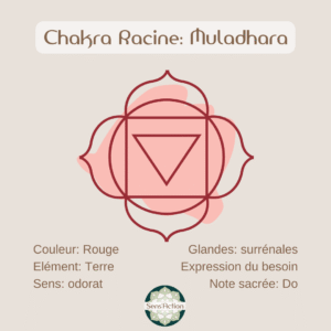 chakra racine