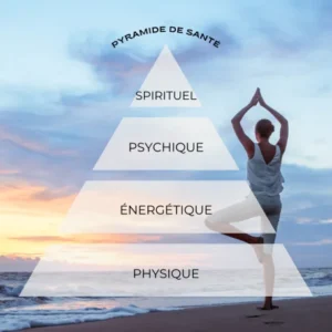 la pyramide de santé de l'être humain