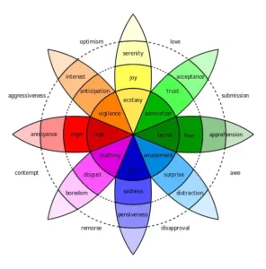 roue des emotions