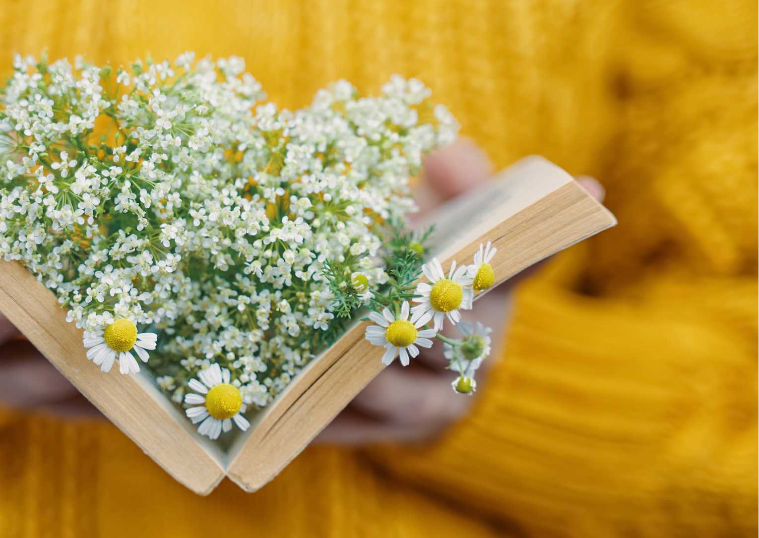 classement des meilleurs livres sur l'hypersensibilité par catégorie