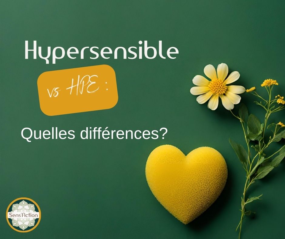 comprendre les personnes haut potentiel émotionnel